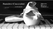 www.sandrocuccuini.com